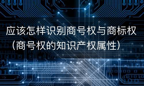 应该怎样识别商号权与商标权（商号权的知识产权属性）