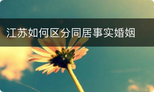 江苏如何区分同居事实婚姻
