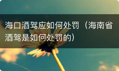海口酒驾应如何处罚（海南省酒驾是如何处罚的）