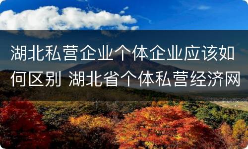 湖北私营企业个体企业应该如何区别 湖北省个体私营经济网