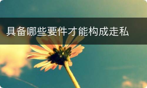 具备哪些要件才能构成走私