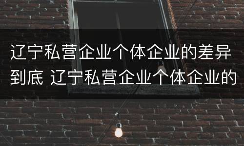 辽宁私营企业个体企业的差异到底 辽宁私营企业个体企业的差异到底有多大