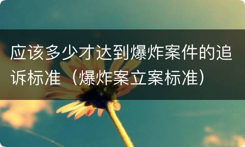 应该多少才达到爆炸案件的追诉标准（爆炸案立案标准）
