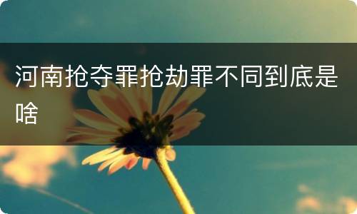 河南抢夺罪抢劫罪不同到底是啥
