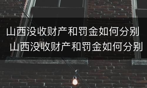 山西没收财产和罚金如何分别 山西没收财产和罚金如何分别处理