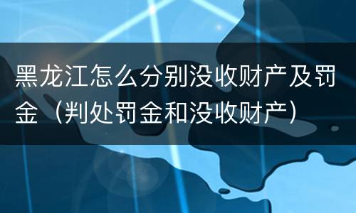 黑龙江怎么分别没收财产及罚金（判处罚金和没收财产）