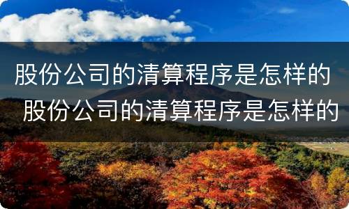 股份公司的清算程序是怎样的 股份公司的清算程序是怎样的呢
