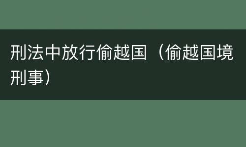 刑法中放行偷越国（偷越国境刑事）