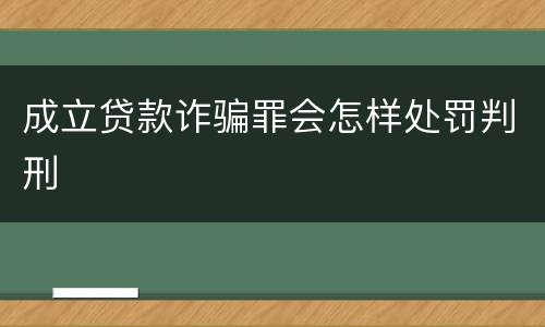 成立贷款诈骗罪会怎样处罚判刑
