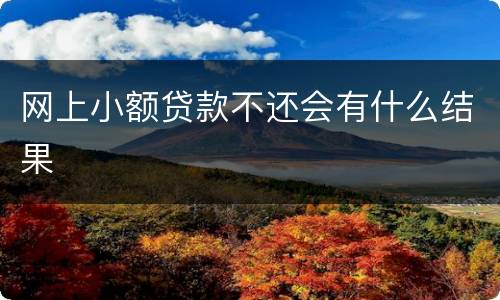 网上小额贷款不还会有什么结果
