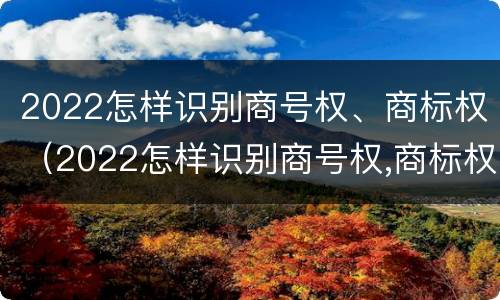 2022怎样识别商号权、商标权（2022怎样识别商号权,商标权是什么）