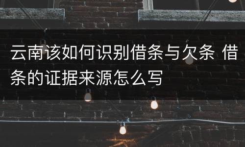 云南该如何识别借条与欠条 借条的证据来源怎么写