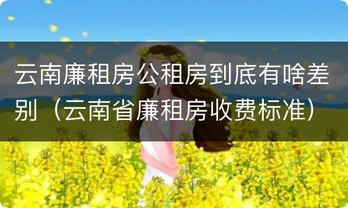 云南廉租房公租房到底有啥差别（云南省廉租房收费标准）