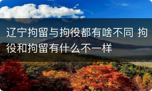 辽宁拘留与拘役都有啥不同 拘役和拘留有什么不一样