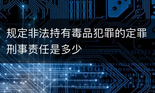 规定非法持有毒品犯罪的定罪刑事责任是多少