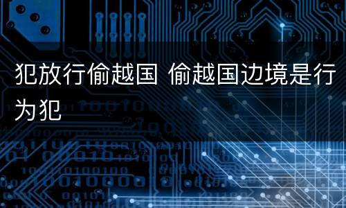 犯放行偷越国 偷越国边境是行为犯