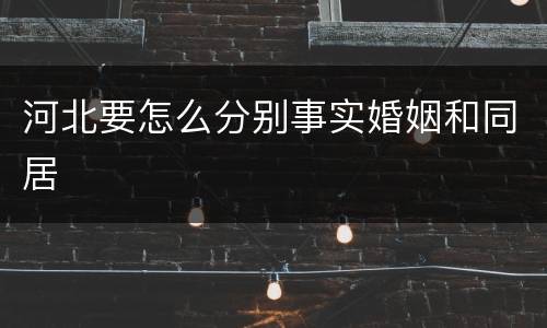 河北要怎么分别事实婚姻和同居