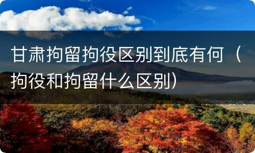 甘肃拘留拘役区别到底有何（拘役和拘留什么区别）