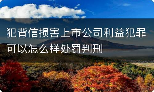 犯背信损害上市公司利益犯罪可以怎么样处罚判刑