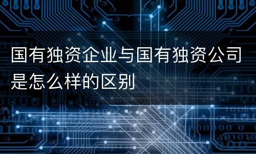 国有独资企业与国有独资公司是怎么样的区别