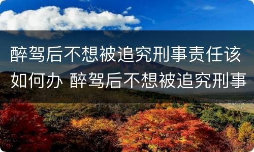 醉驾后不想被追究刑事责任该如何办 醉驾后不想被追究刑事责任该如何办理