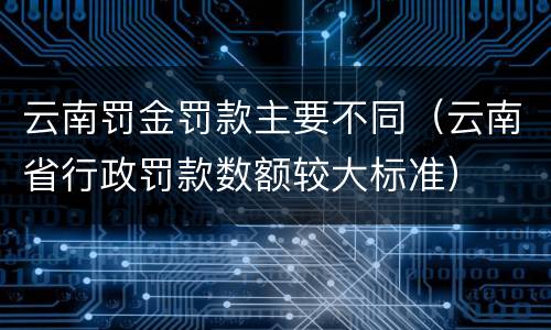 云南罚金罚款主要不同（云南省行政罚款数额较大标准）