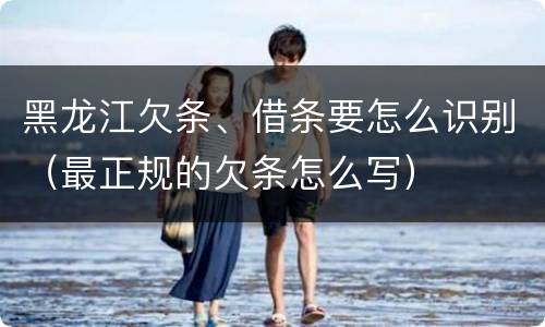 黑龙江欠条、借条要怎么识别（最正规的欠条怎么写）