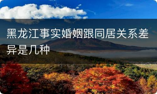 黑龙江事实婚姻跟同居关系差异是几种