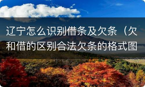 辽宁怎么识别借条及欠条（欠和借的区别合法欠条的格式图片）