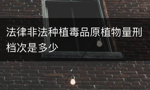 法律非法种植毒品原植物量刑档次是多少