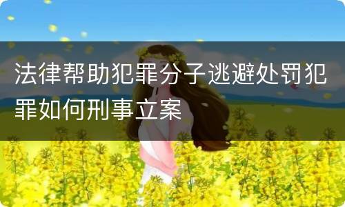 法律帮助犯罪分子逃避处罚犯罪如何刑事立案