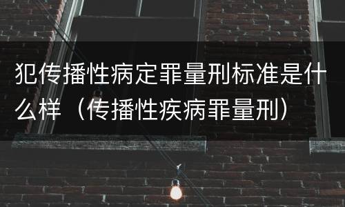 犯传播性病定罪量刑标准是什么样（传播性疾病罪量刑）