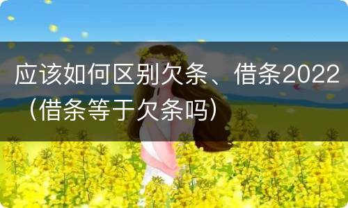 应该如何区别欠条、借条2022（借条等于欠条吗）