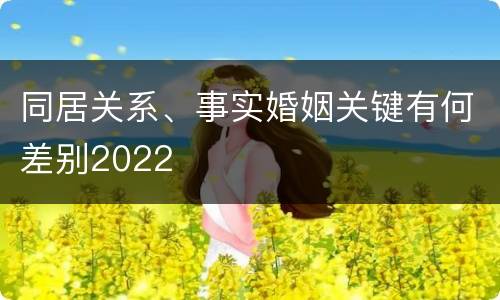 同居关系、事实婚姻关键有何差别2022