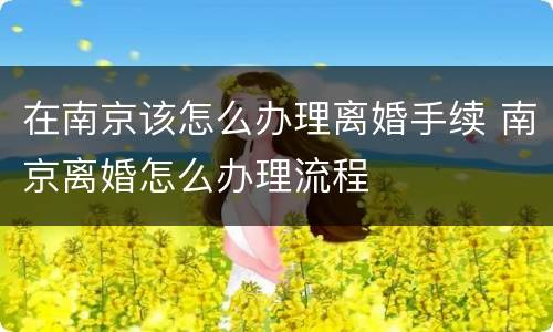 在南京该怎么办理离婚手续 南京离婚怎么办理流程