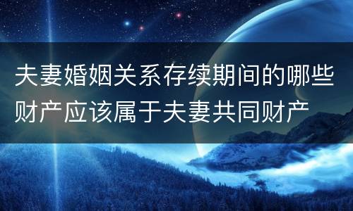 夫妻婚姻关系存续期间的哪些财产应该属于夫妻共同财产
