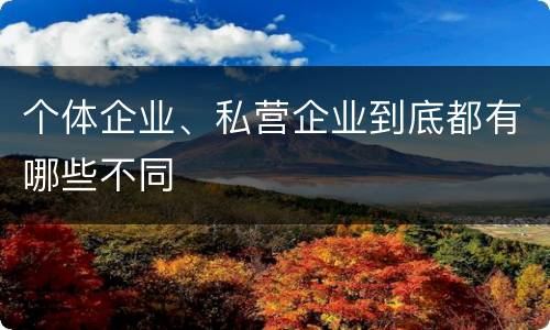 个体企业、私营企业到底都有哪些不同
