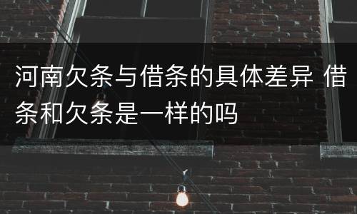 河南欠条与借条的具体差异 借条和欠条是一样的吗