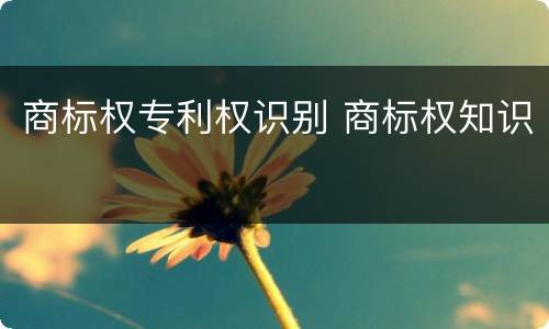 商标权专利权识别 商标权知识