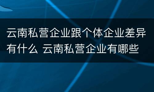 云南私营企业跟个体企业差异有什么 云南私营企业有哪些