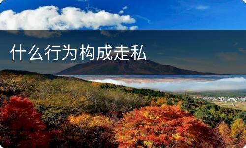 什么行为构成走私