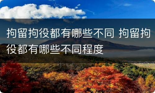 拘留拘役都有哪些不同 拘留拘役都有哪些不同程度