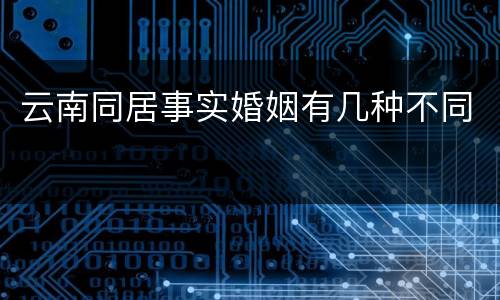 云南同居事实婚姻有几种不同