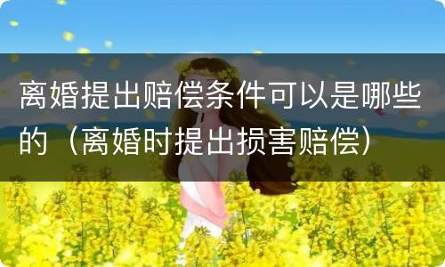 离婚提出赔偿条件可以是哪些的（离婚时提出损害赔偿）