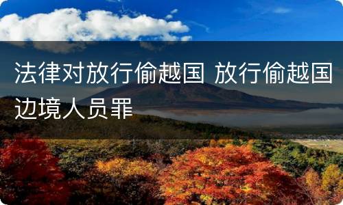 法律对放行偷越国 放行偷越国边境人员罪