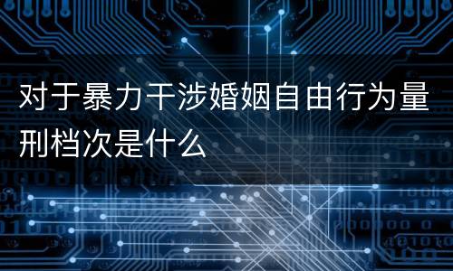 对于暴力干涉婚姻自由行为量刑档次是什么