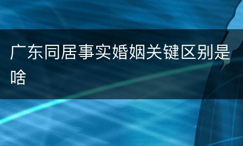 广东同居事实婚姻关键区别是啥