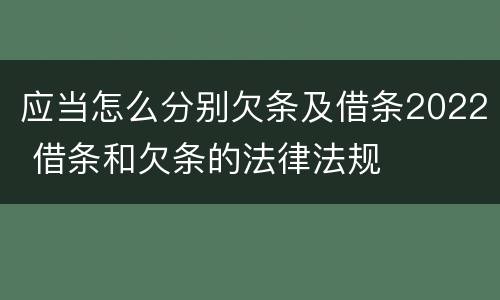应当怎么分别欠条及借条2022 借条和欠条的法律法规