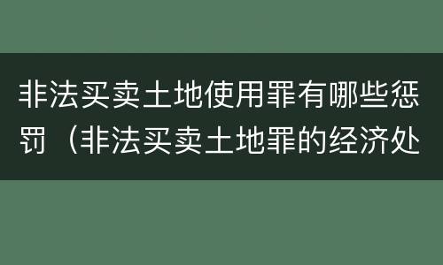 非法买卖土地使用罪有哪些惩罚（非法买卖土地罪的经济处罚）