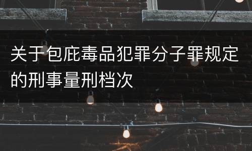 关于包庇毒品犯罪分子罪规定的刑事量刑档次